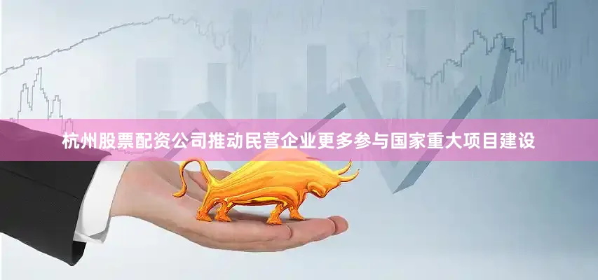 杭州股票配资公司推动民营企业更多参与国家重大项目建设